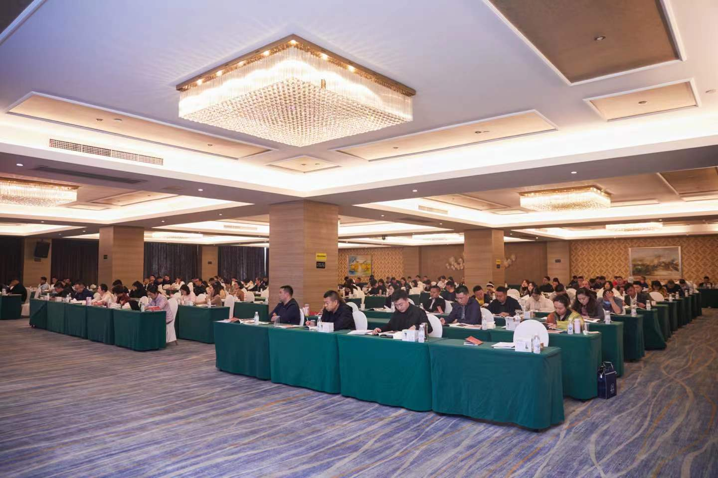 跟随大师，专注、专心、专研，定能学有所得